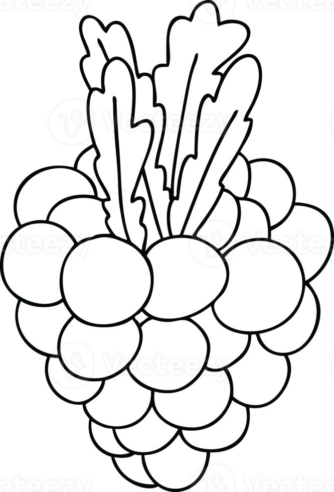 line drawing quirky cartoon bunch of grapes png