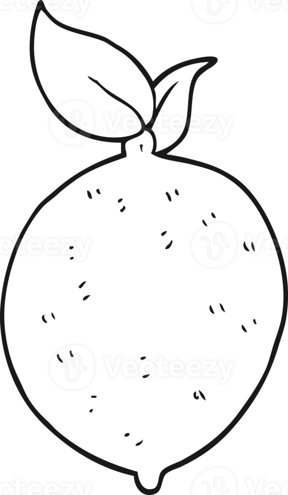 hand drawn black and white cartoon lemon png