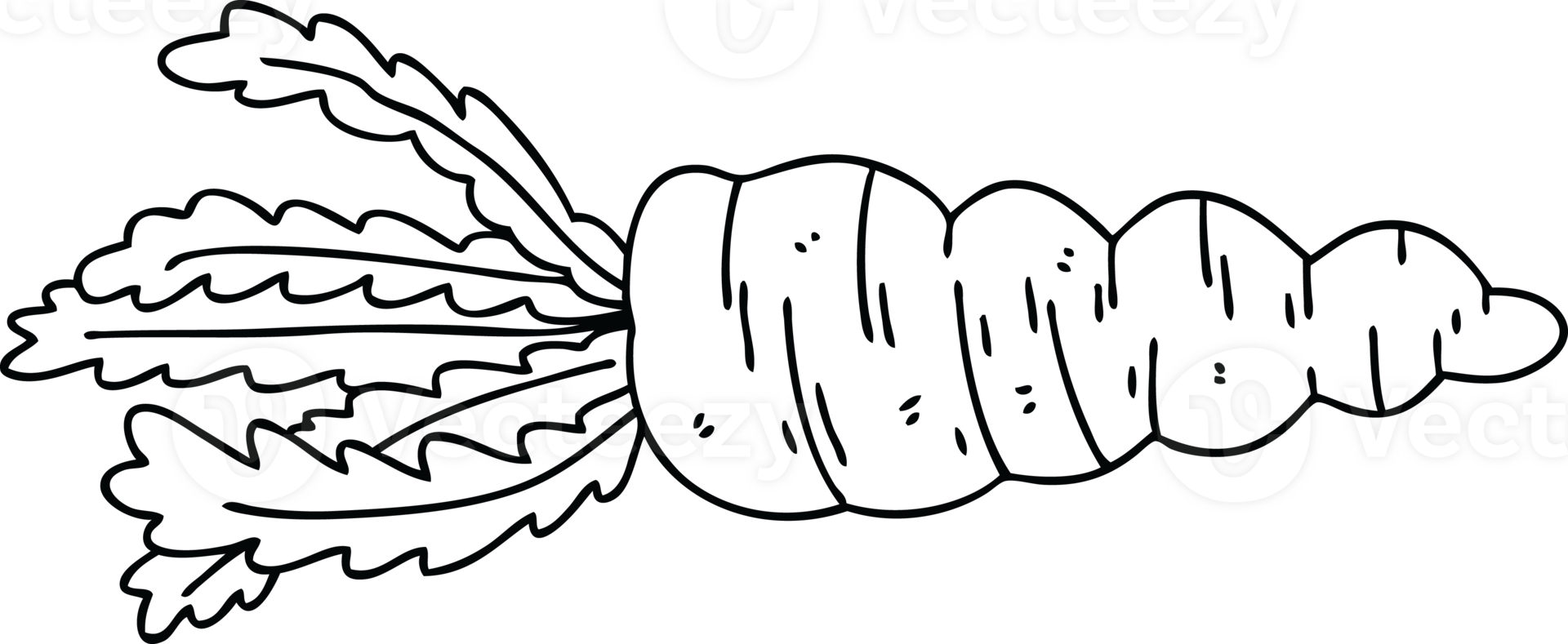 line drawing quirky cartoon carrot png