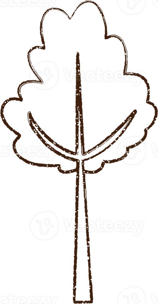 Tree Charcoal Drawing png