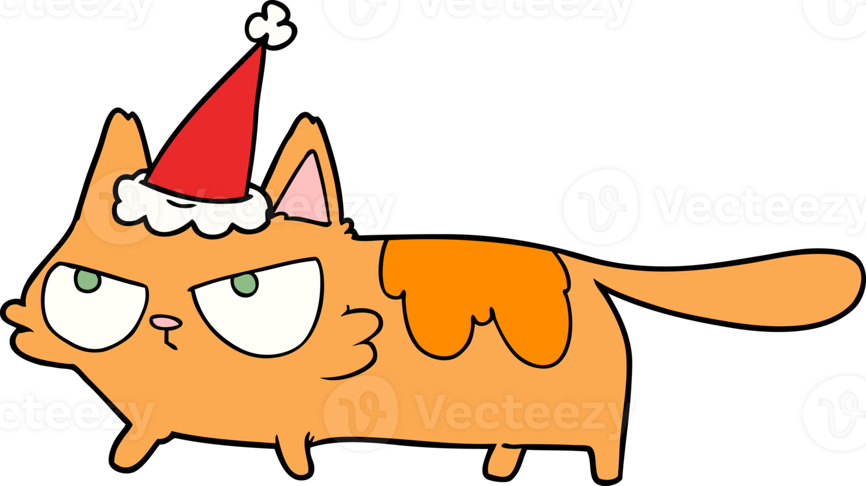 hand drawn line drawing of a angry cat wearing santa hat png
