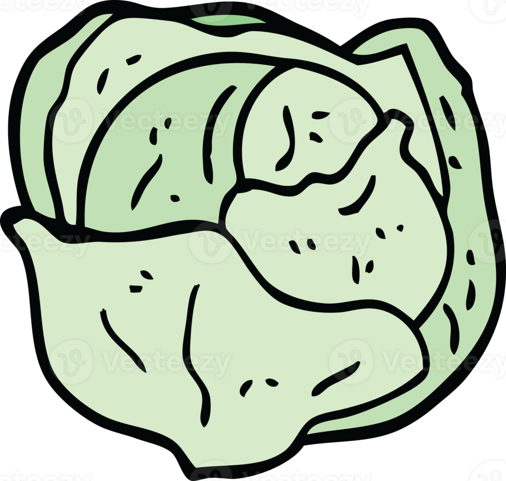 cartoon doodle organic lettuce png