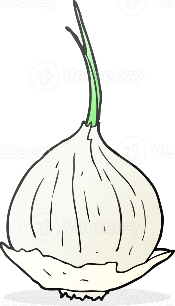 hand drawn cartoon onion png