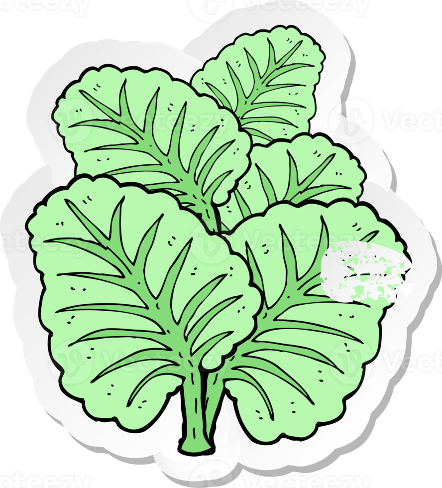 retro distressed sticker of a cartoon cabbage leaves png