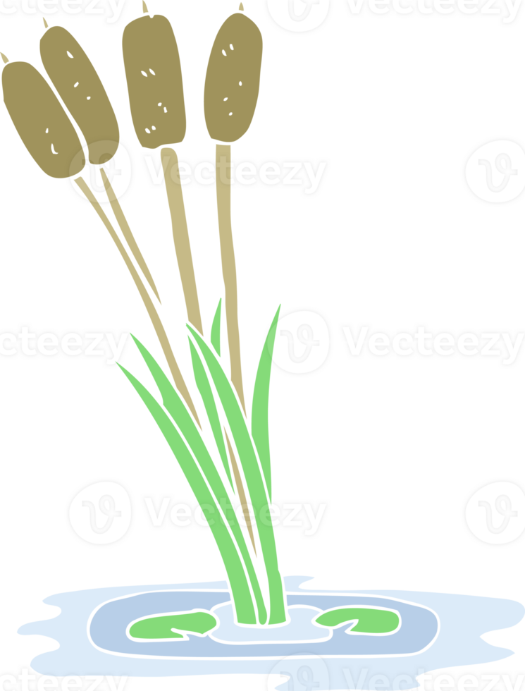 flat color illustration of reeds png