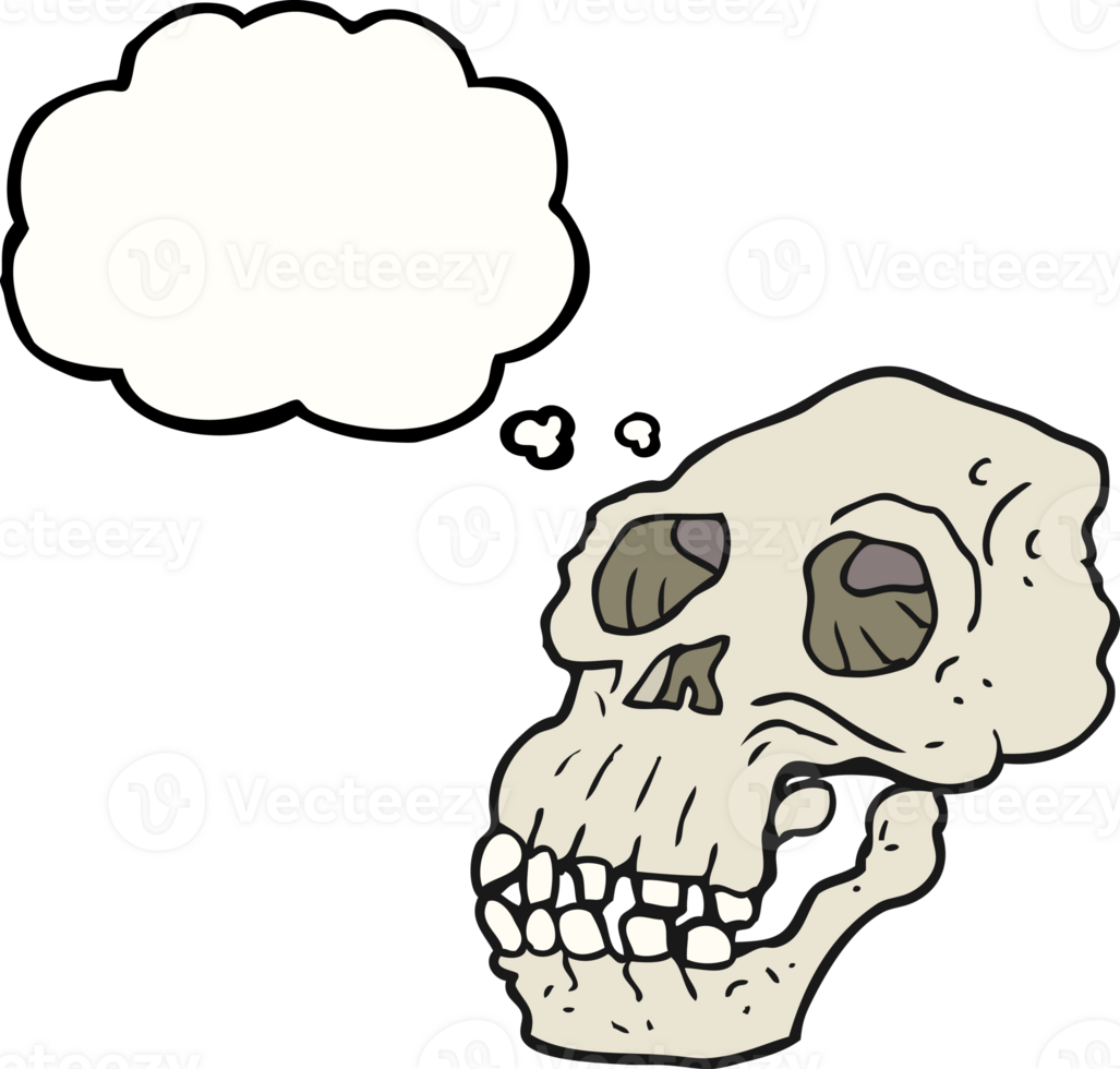 drawn thought bubble cartoon ancient skull png