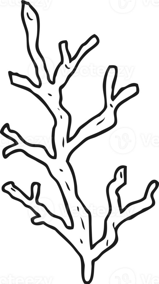 drawn black and white cartoon seaweed png