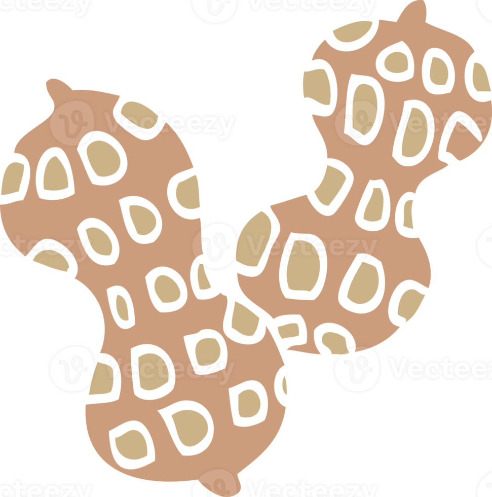 cartoon doodle peanut png