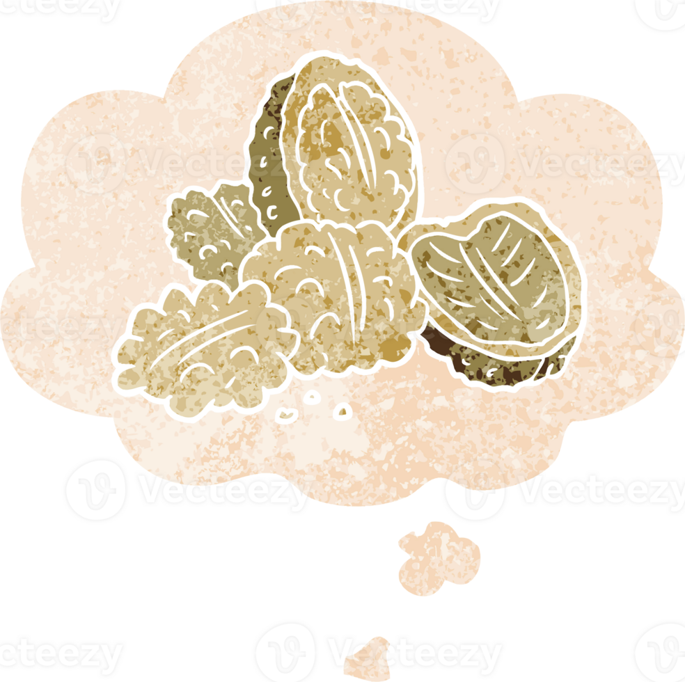 cartoon walnuts with thought bubble in grunge distressed retro textured style png
