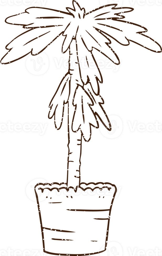 House Plant Charcoal Drawing png
