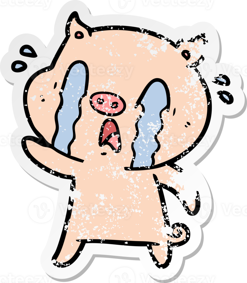 distressed sticker of a crying pig cartoon png