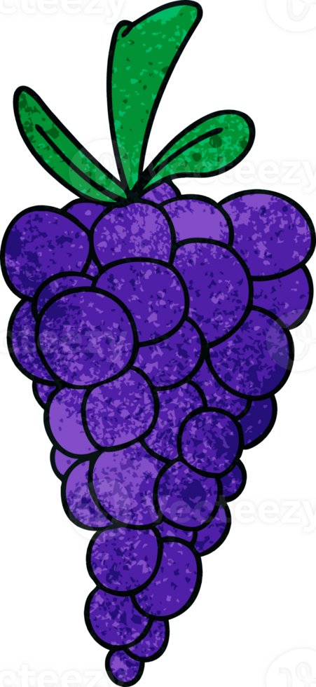 hand drawn quirky cartoon bunch of grapes png