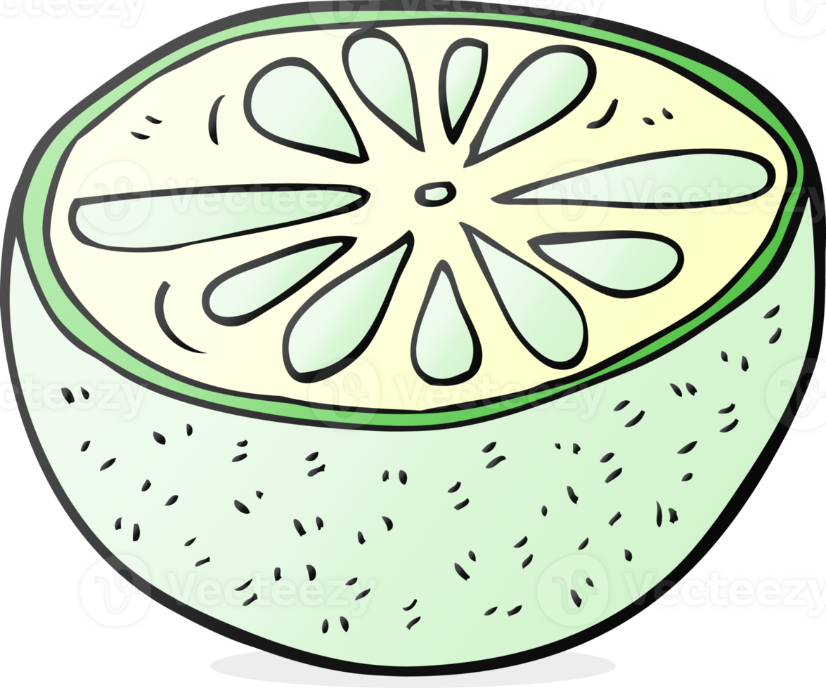 drawn cartoon half melon png