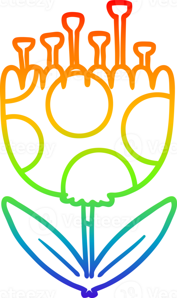 rainbow gradient line drawing of a cartoon patterned flower png