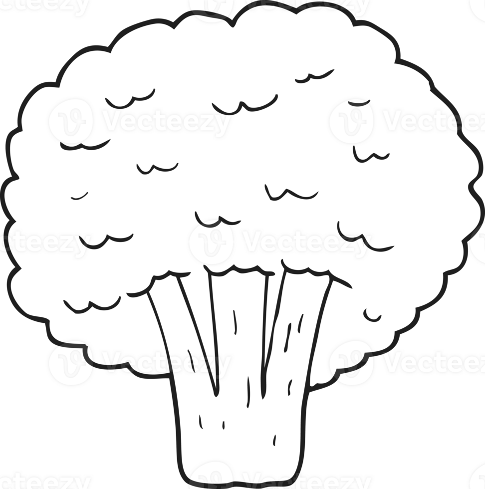 hand drawn black and white cartoon broccoli png