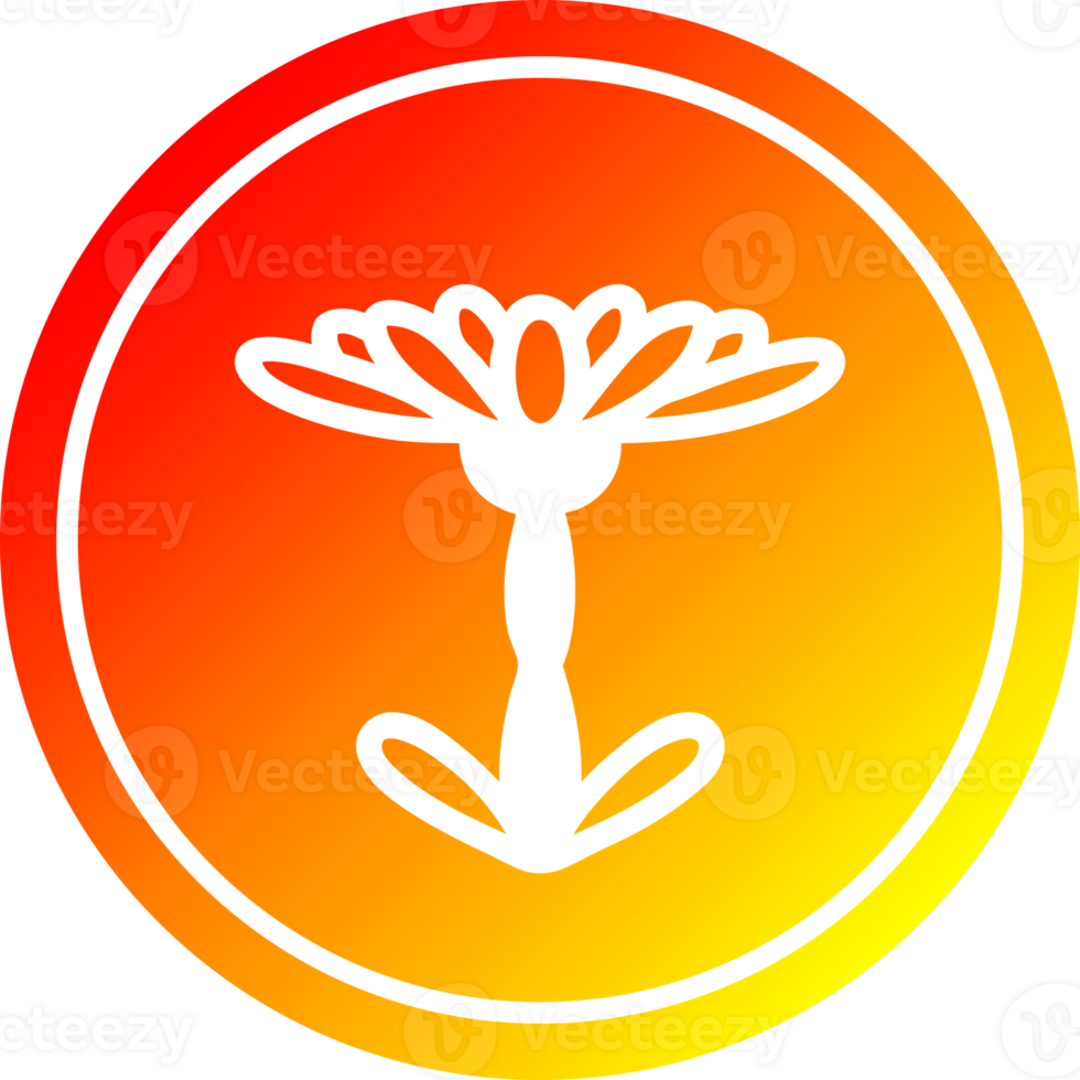 blooming flower circular icon with warm gradient finish png