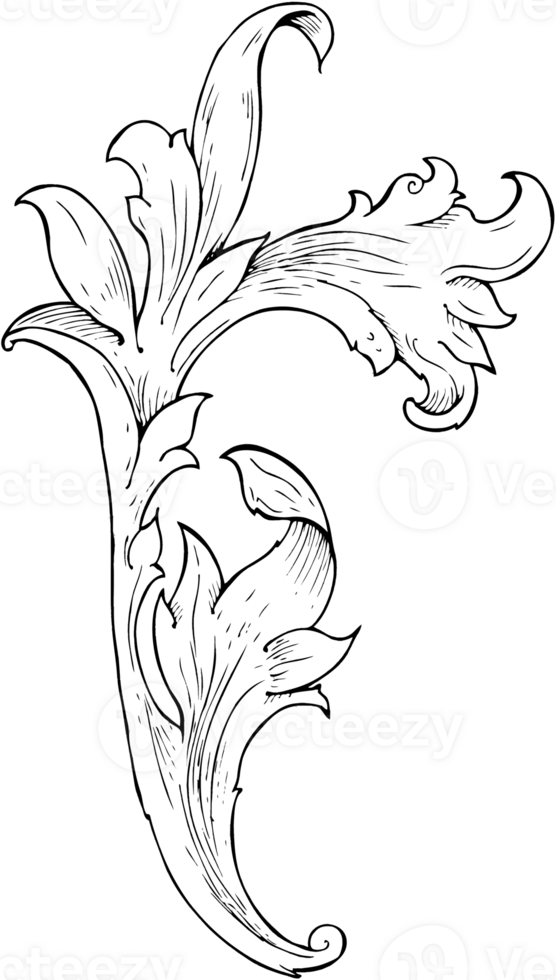 traditionell Hand gezeichnet Blumen- Strudel png