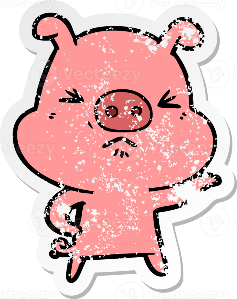 distressed sticker of a cartoon angry pig png