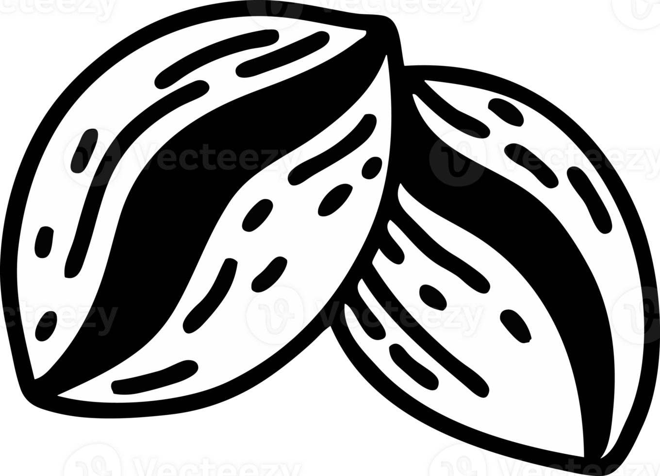 hand drawn cartoon illustration png