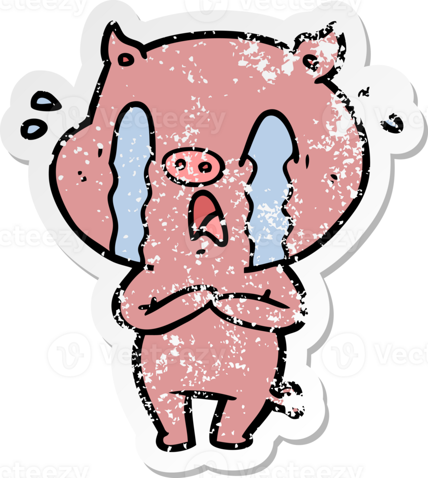 distressed sticker of a crying pig cartoon png
