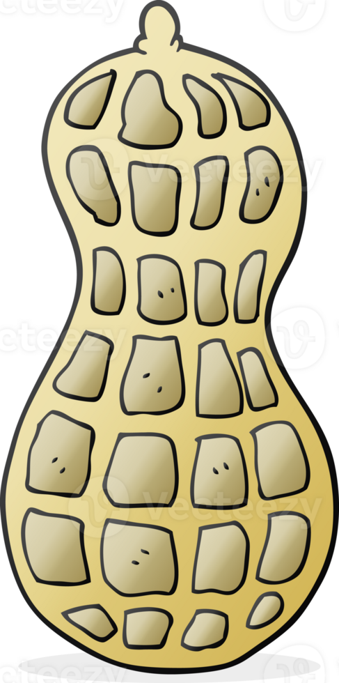 hand drawn cartoon peanut png