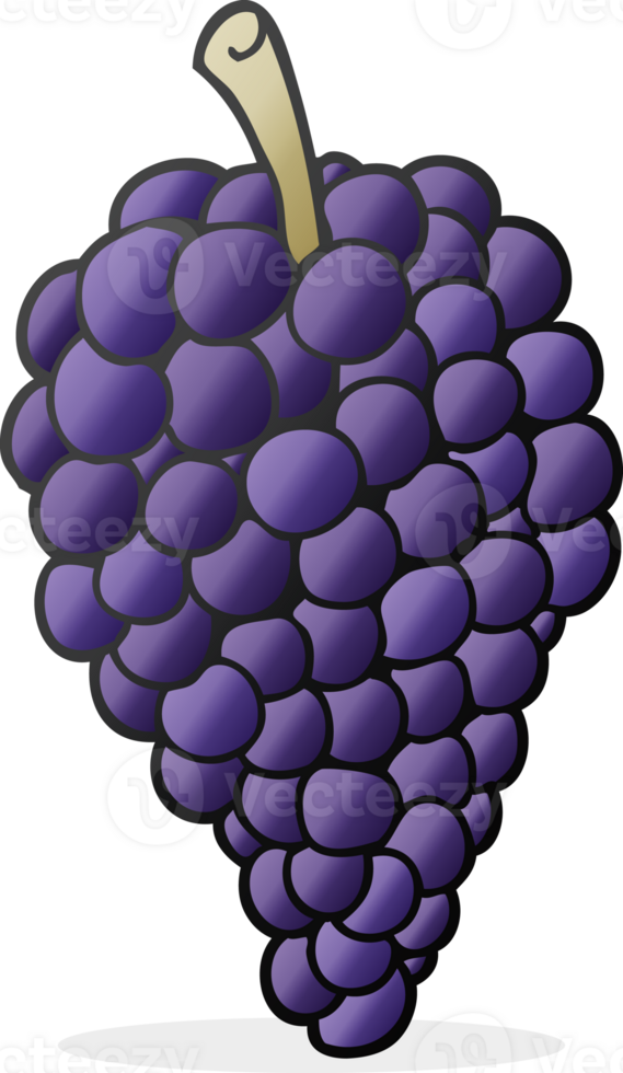 hand drawn cartoon grapes png