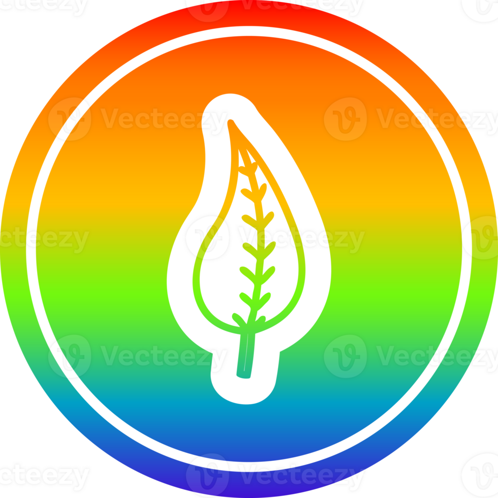 natural leaf circular icon with rainbow gradient finish png