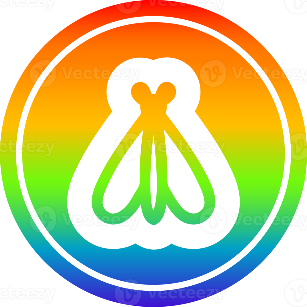 flying insect circular icon with rainbow gradient finish png
