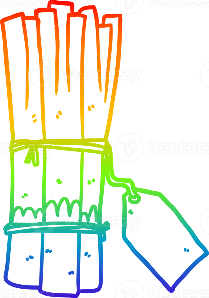 rainbow gradient line drawing of a organic bunch of leeks png