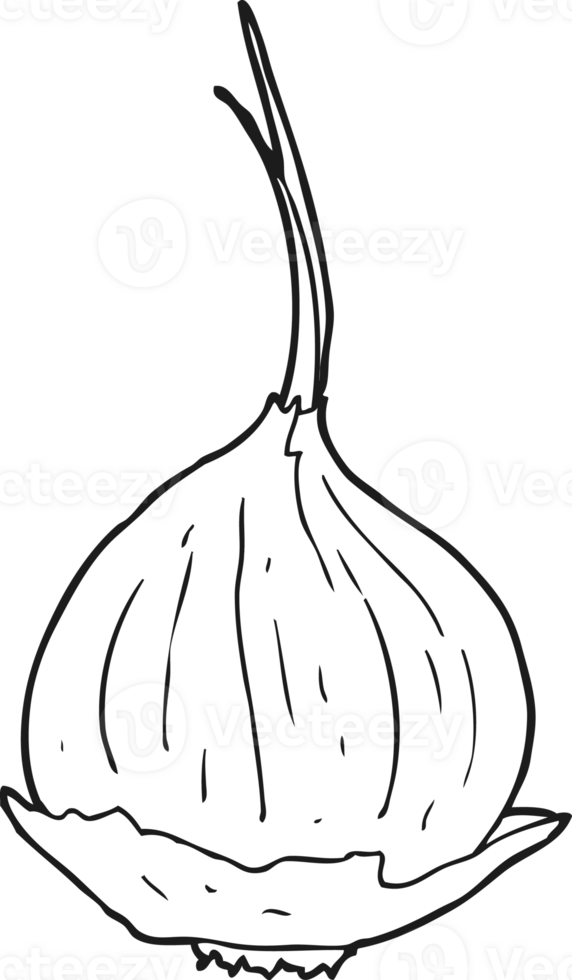 hand drawn black and white cartoon onion png