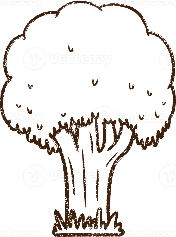 Tree Charcoal Drawing png