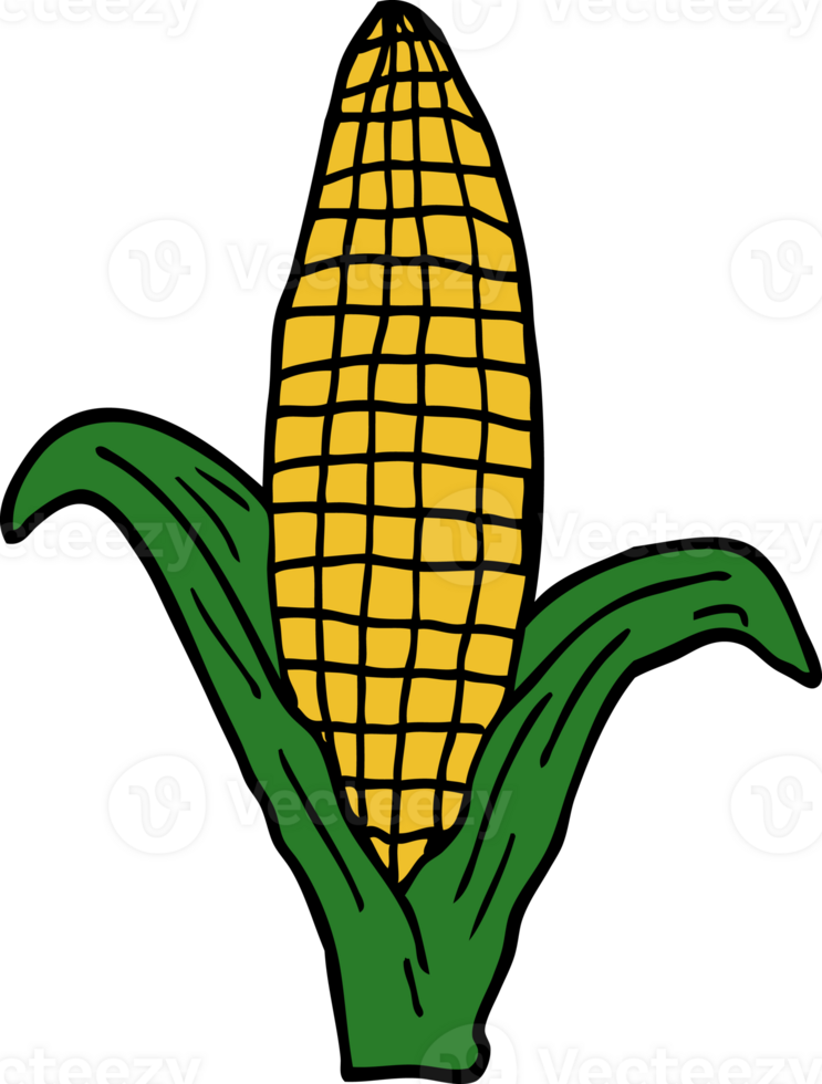 cartoon doodle healthy corn png
