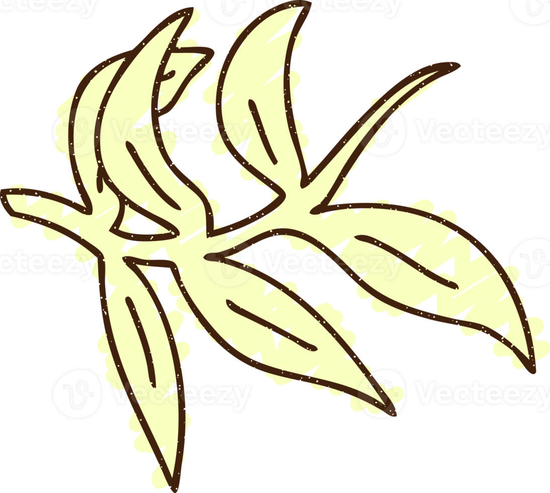 Leaves Chalk Drawing png