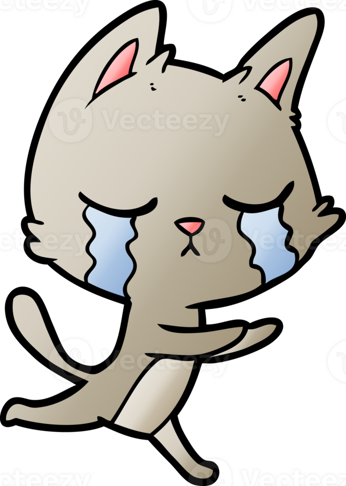crying cartoon cat running png