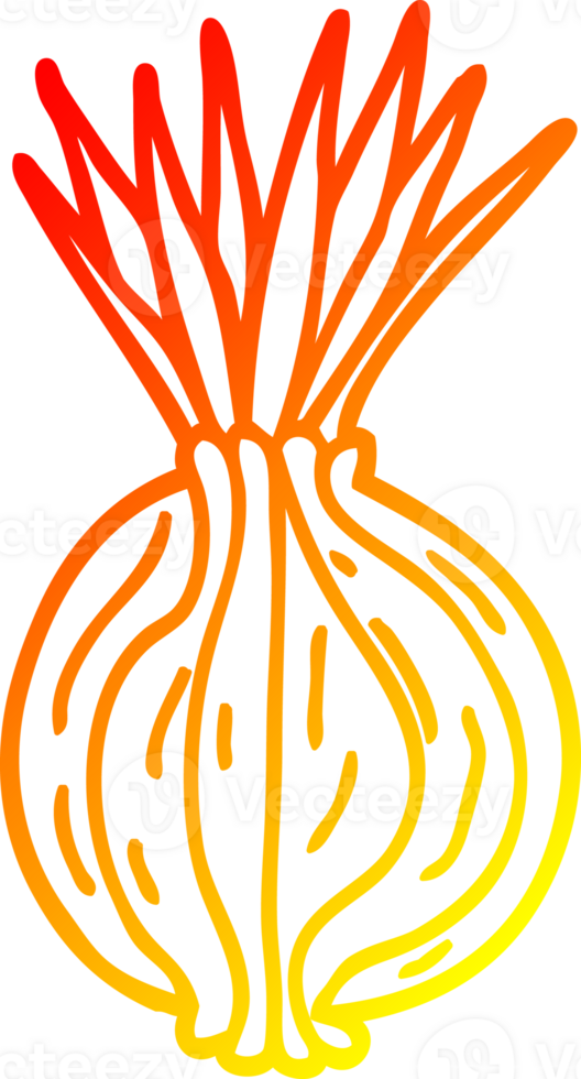 warm gradient line drawing of a cartoon sprouting onion png