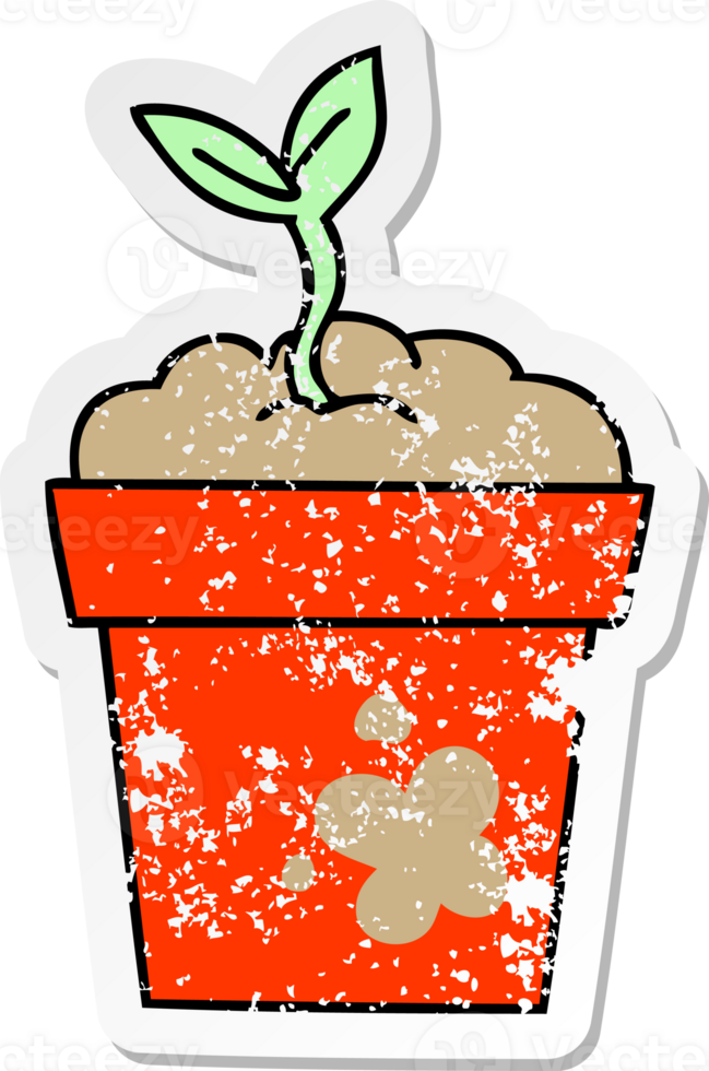 distressed sticker of a quirky hand drawn cartoon seedling png