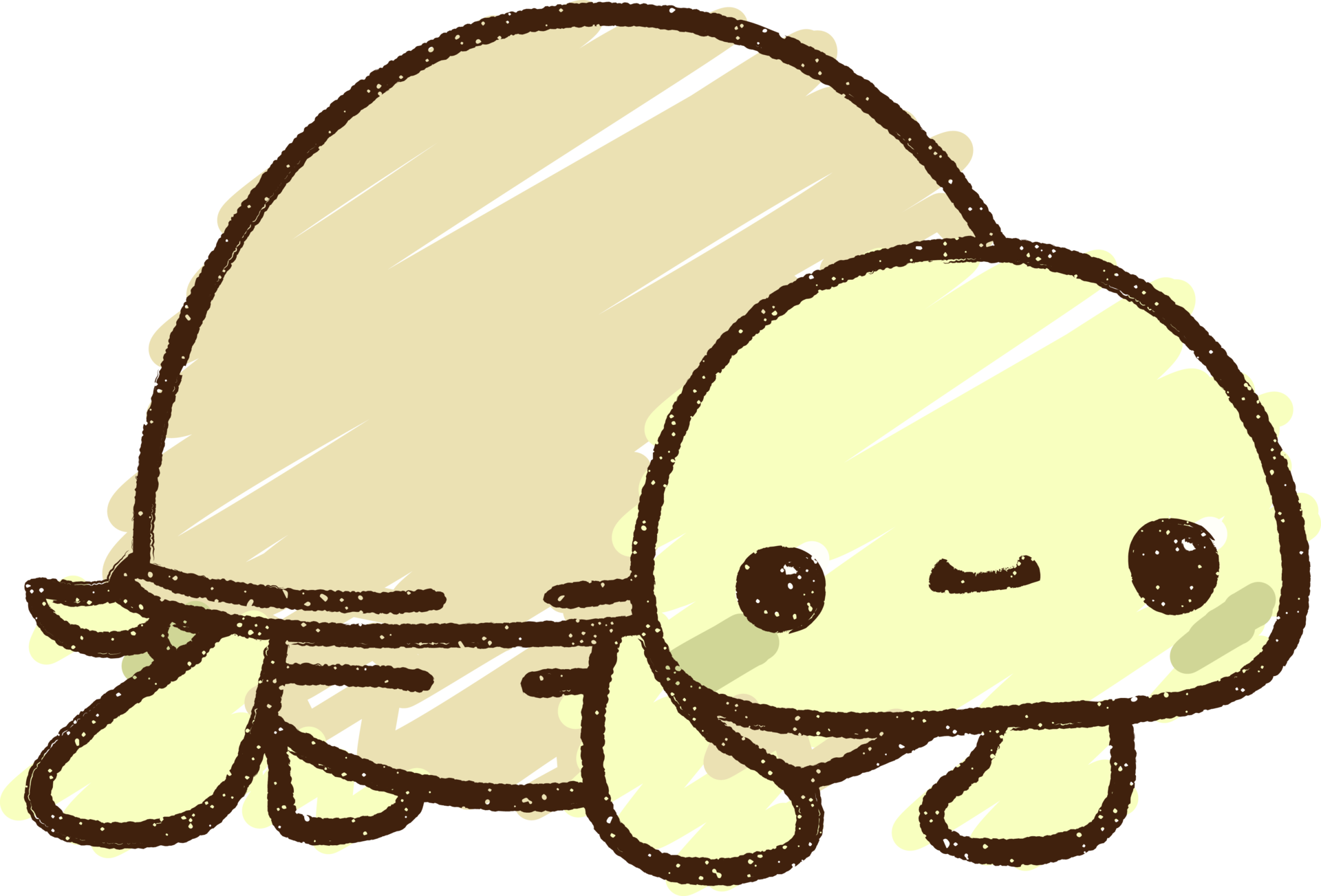 Cute Turtle Chalk Drawing 45239947 PNG