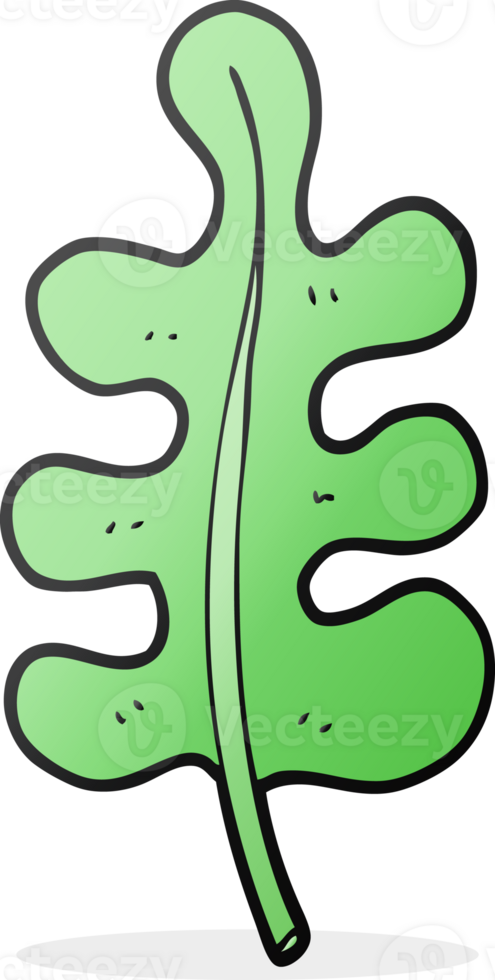 hand drawn cartoon leaf png