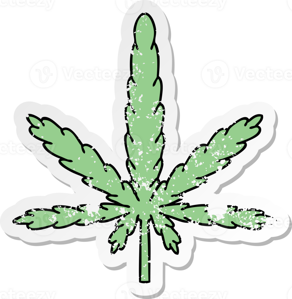 distressed sticker of a quirky hand drawn cartoon marijuana png