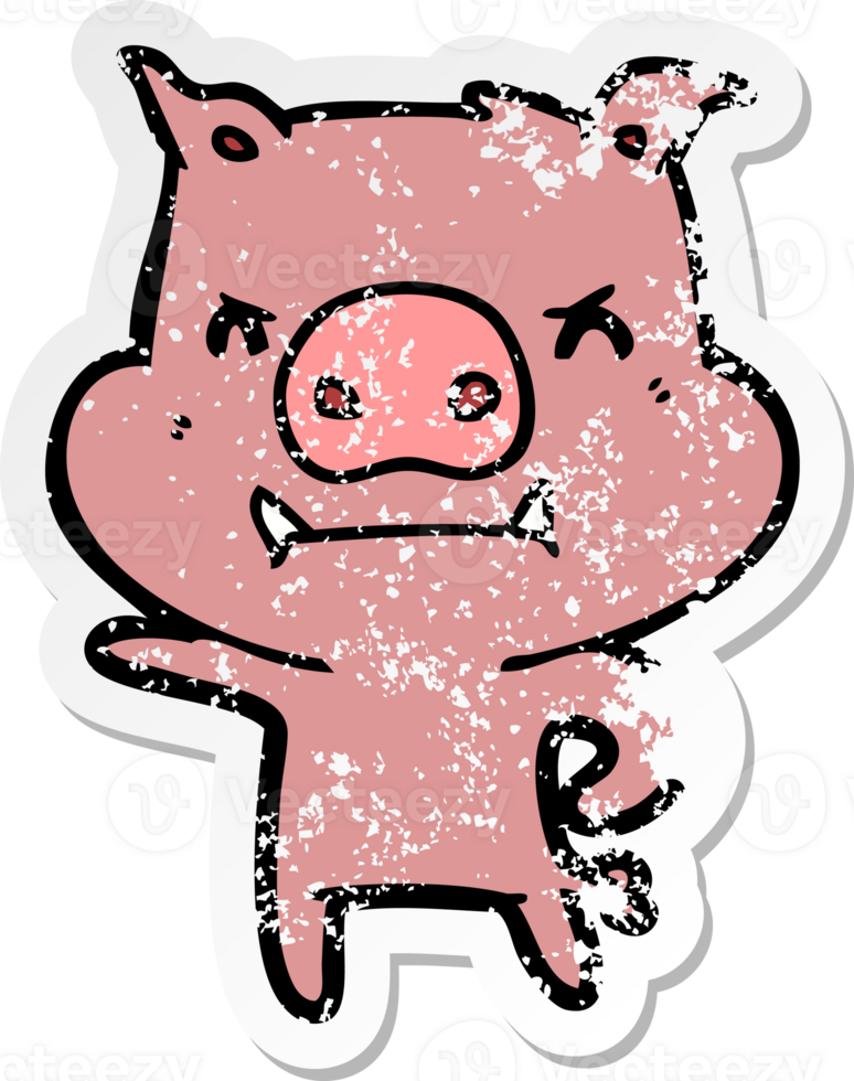 distressed sticker of a angry cartoon pig png