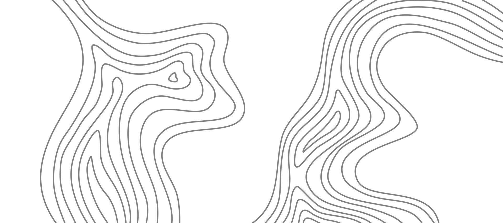 Wavy Contour background. Topographic contour background. contour lines background. Topographic map background. Abstract wavy background. vector