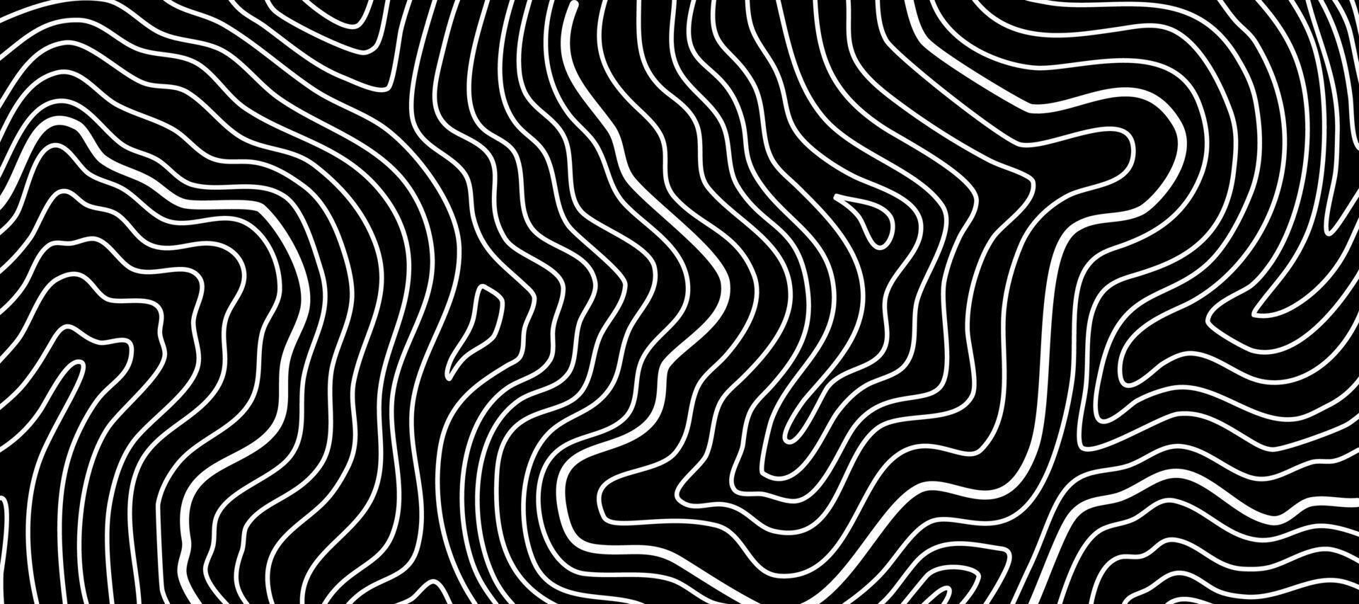 Wavy Contour background. Topographic contour background. contour lines background. Topographic map background. Abstract wavy background. vector