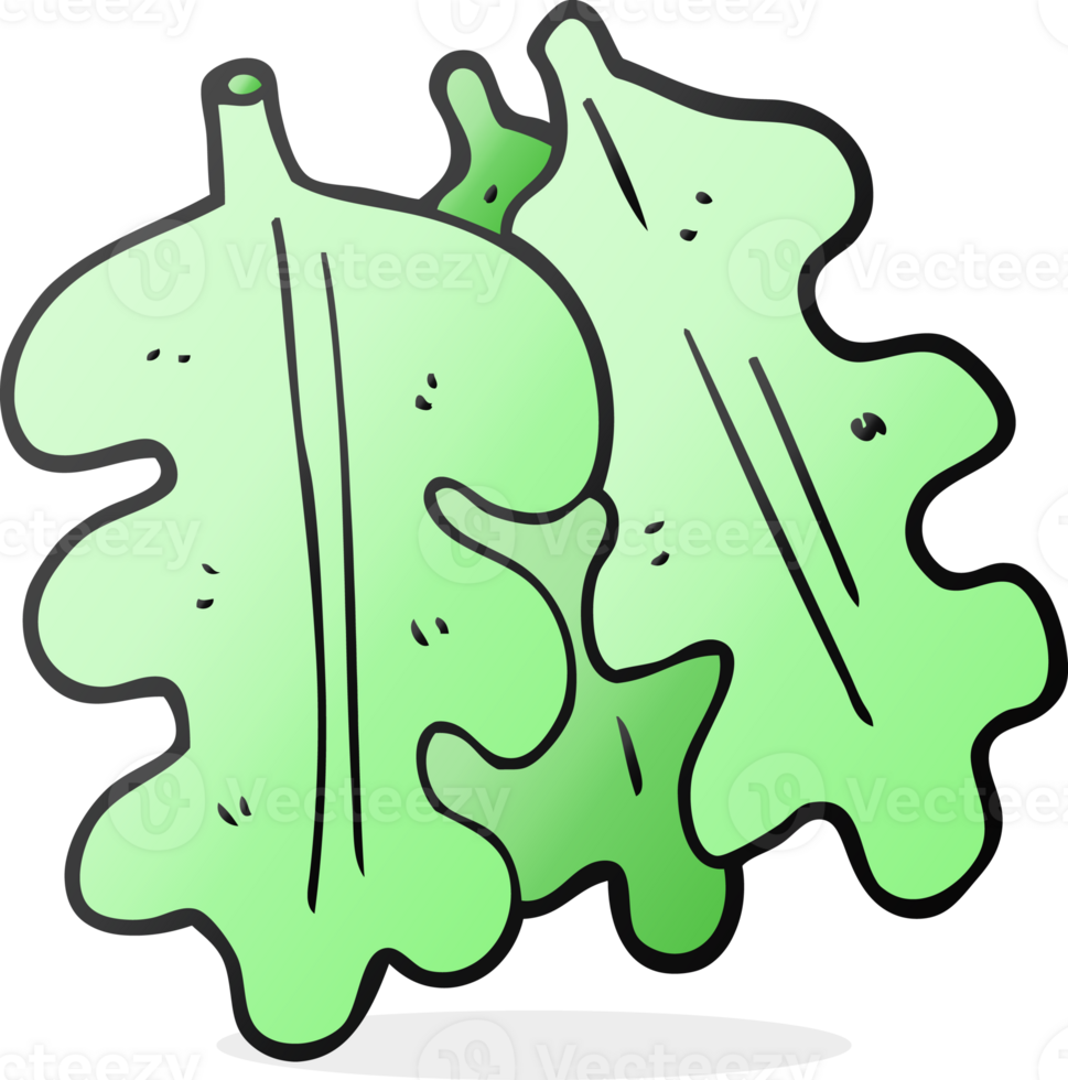 hand drawn cartoon oak leaves png