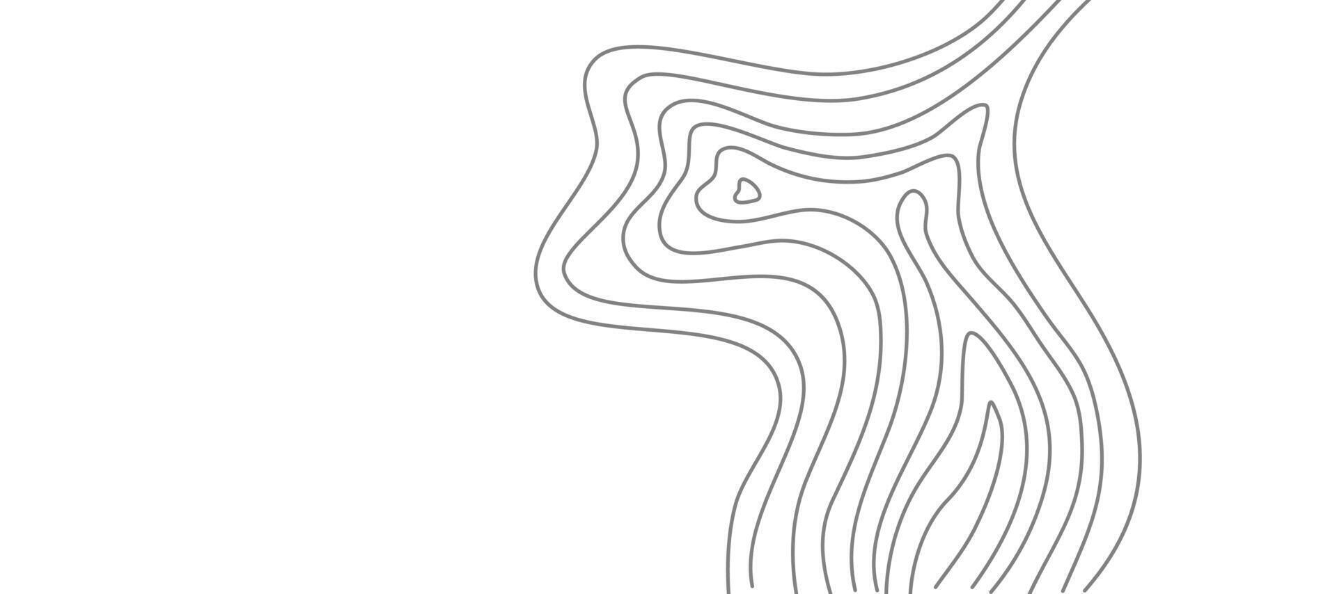 Wavy Contour background. Topographic contour background. contour lines background. Topographic map background. Abstract wavy background. vector