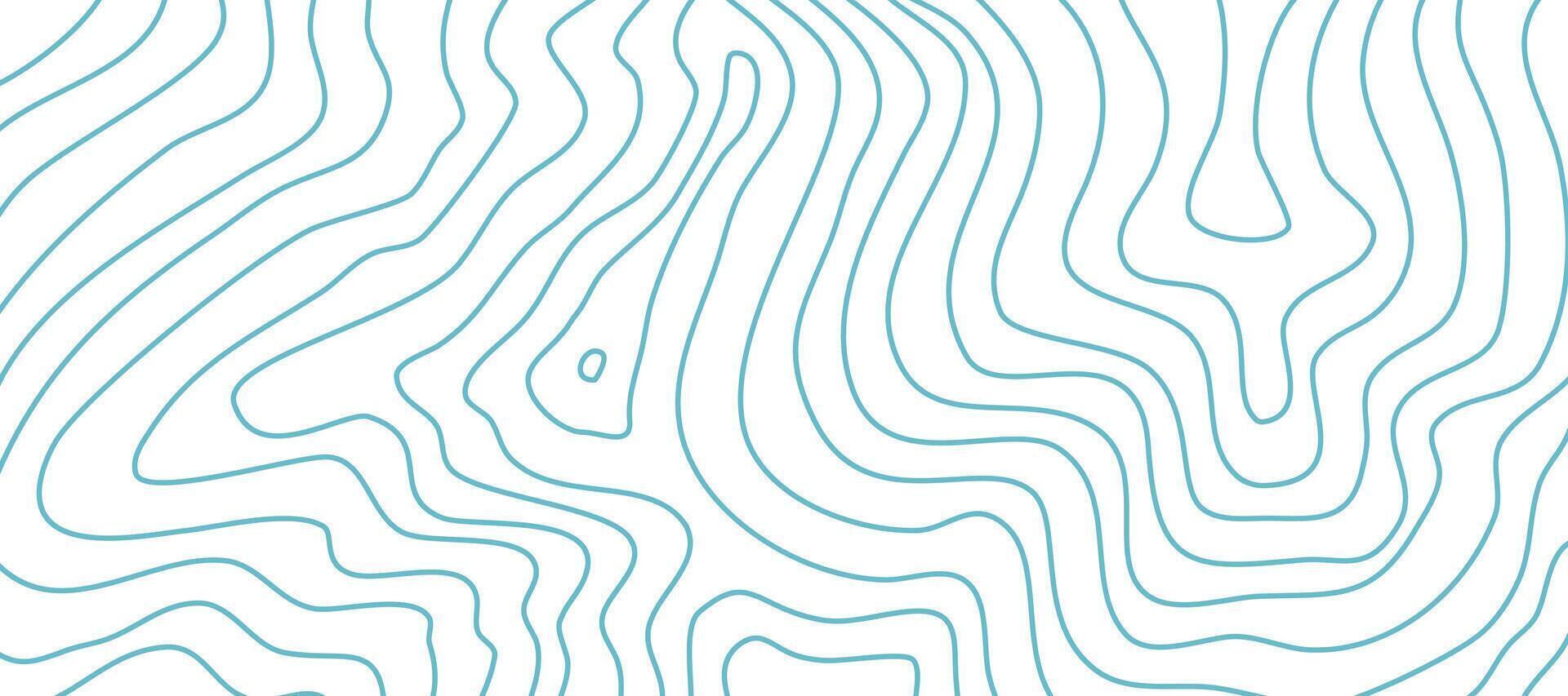 Contour background. Topographic contour background. contour lines background. Topographic map background. Abstract wavy background. vector