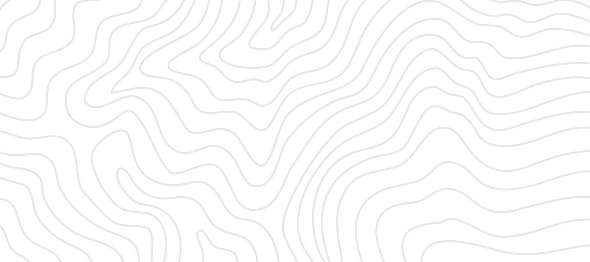 Contour background. Topographic contour background. contour lines background. Topographic map background. Abstract wavy background. vector