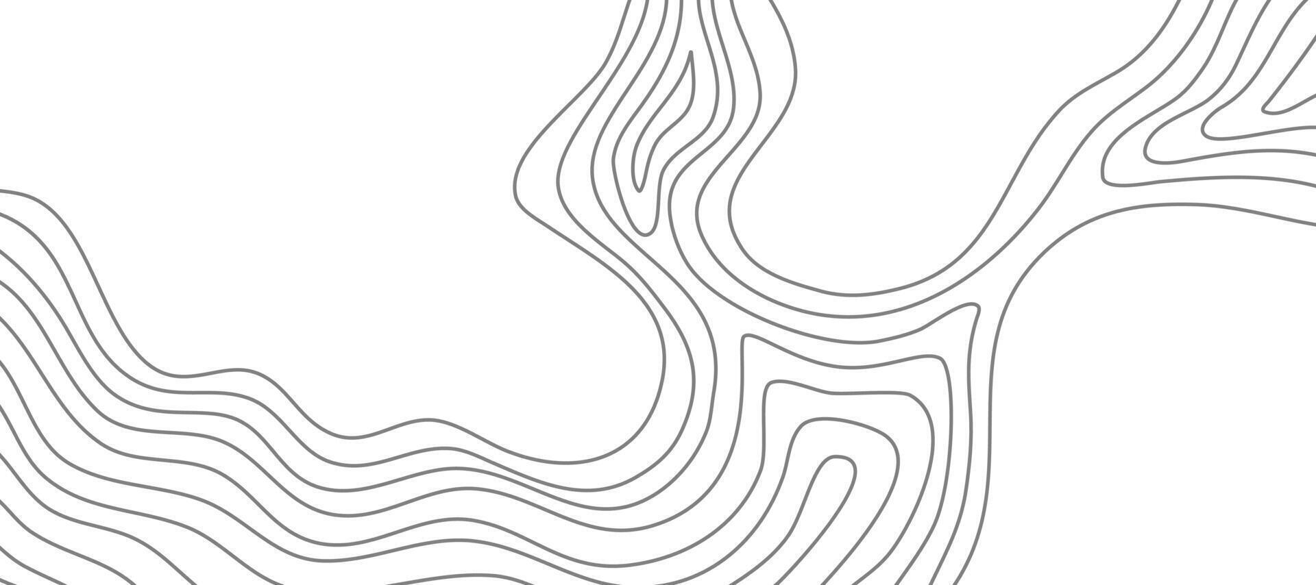 Wavy Contour background. Topographic contour background. contour lines background. Topographic map background. Abstract wavy background. vector