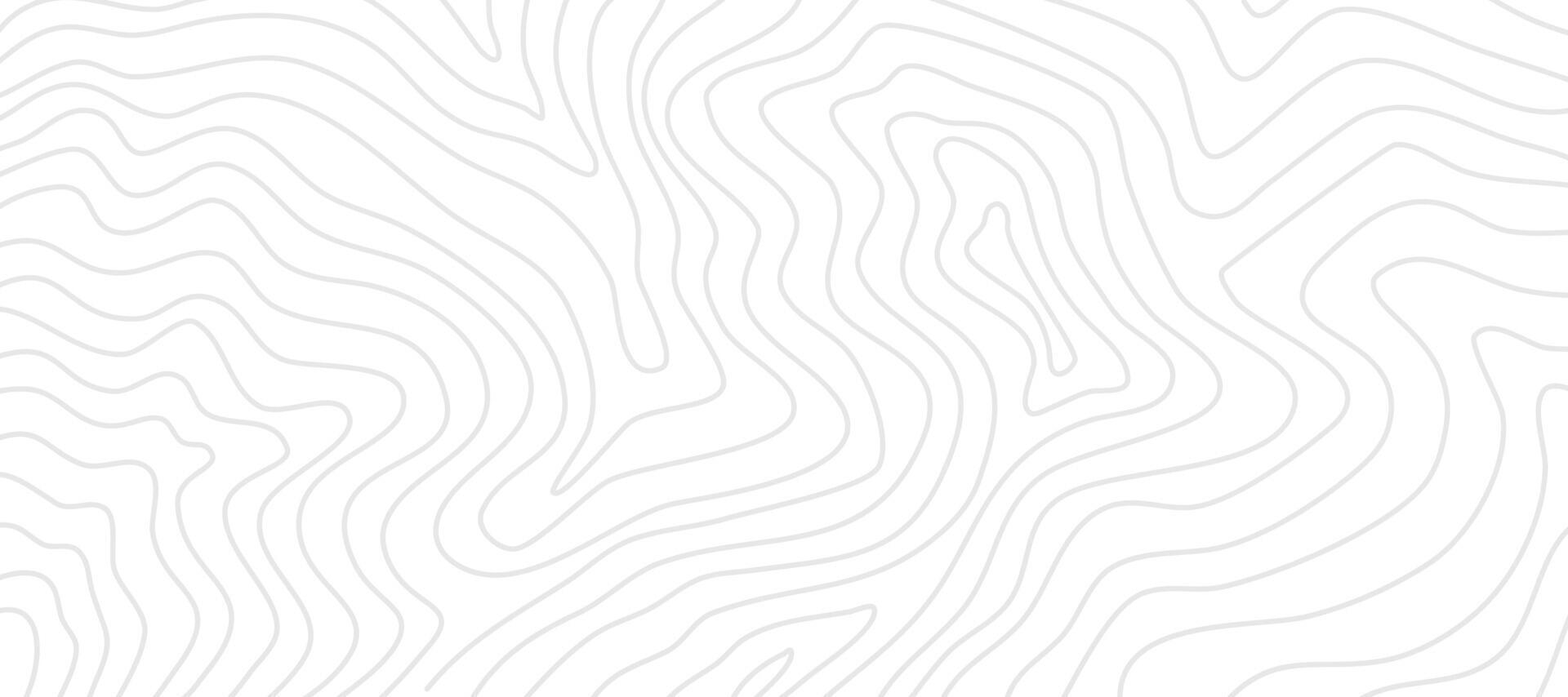 Contour background. Topographic contour background. contour lines background. Topographic map background. Abstract wavy background. vector