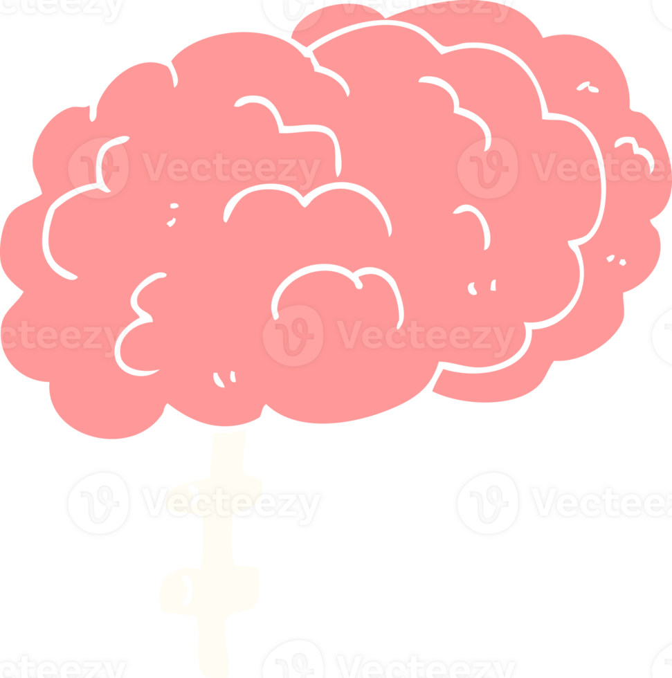 flat color illustration of brain png