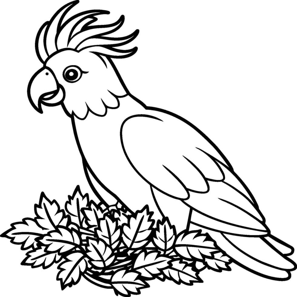 Cockatoo coloring pages. Bird outline for coloring book. vector
